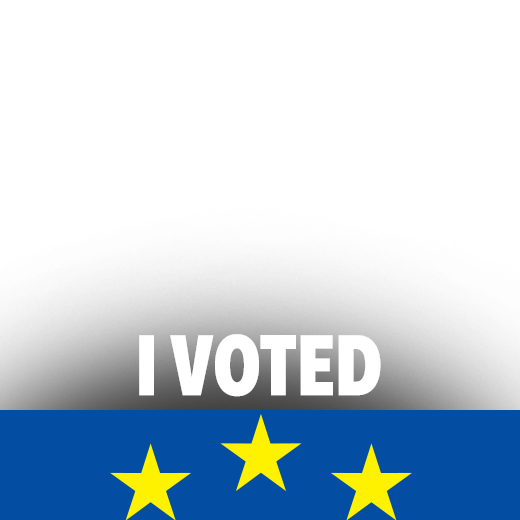 EE24_frame_avatar_I_VOTED.png
