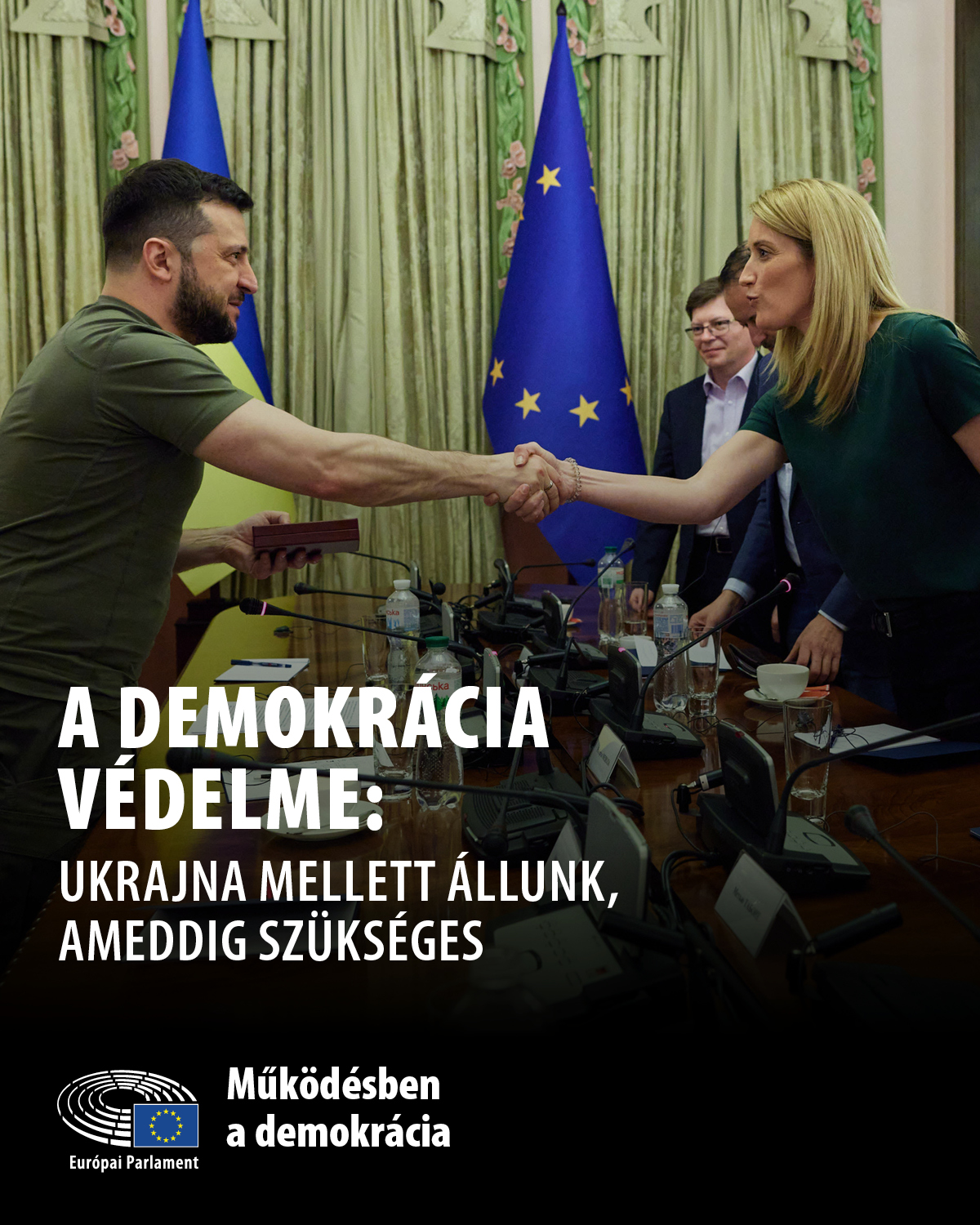 Defending Democracy: Ukraine 1 - 4:5.jpg