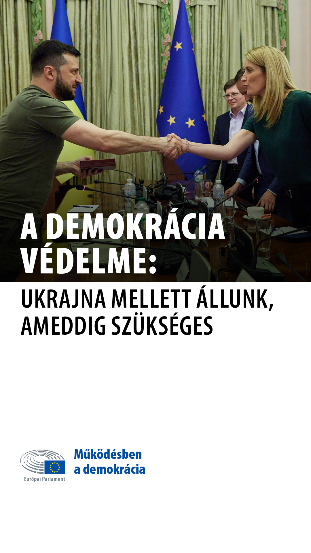 Defending Democracy: Ukraine 1 - Story.jpg